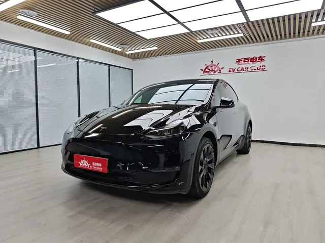 Tesla Model Y 2021 Standard Range Rear-Wheel Drive