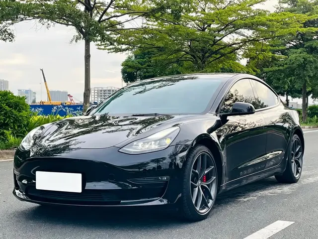 Tesla Model 3 2021 Performance High-Performance All-Wheel Drive 3D6