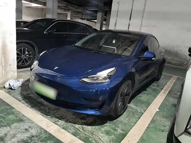 Tesla Model 3 2022 Model Rear-Wheel Drive Version