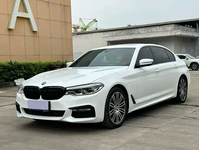 BMW 5 Series 2019 530Li Leading M Sport Package