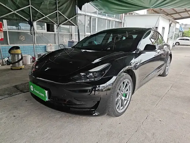 Tesla Model 3 2021 Standard Range Rear-Wheel Drive Upgrade 3D6