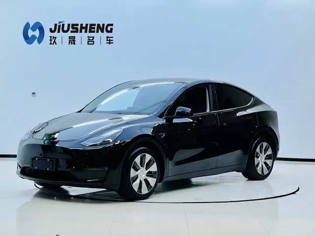 Tesla Model Y 2021 Long Range All-Wheel Drive 3D7