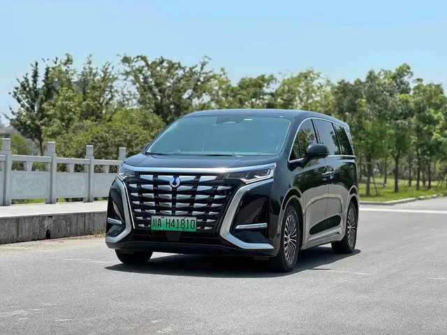 Denza D9 2024 DM-i 980 AWD Flagship