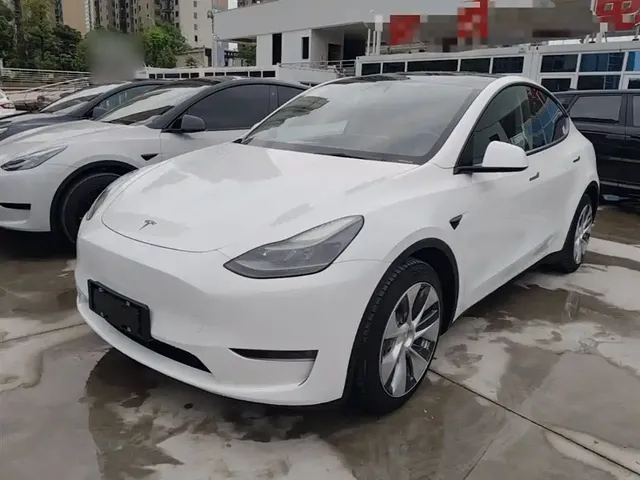 Tesla Model Y 2021 Standard Range Rear-Wheel Drive