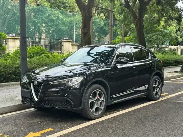Alfa Romeo Stelvio 2020 2.0T 280HP Track Limited Edition