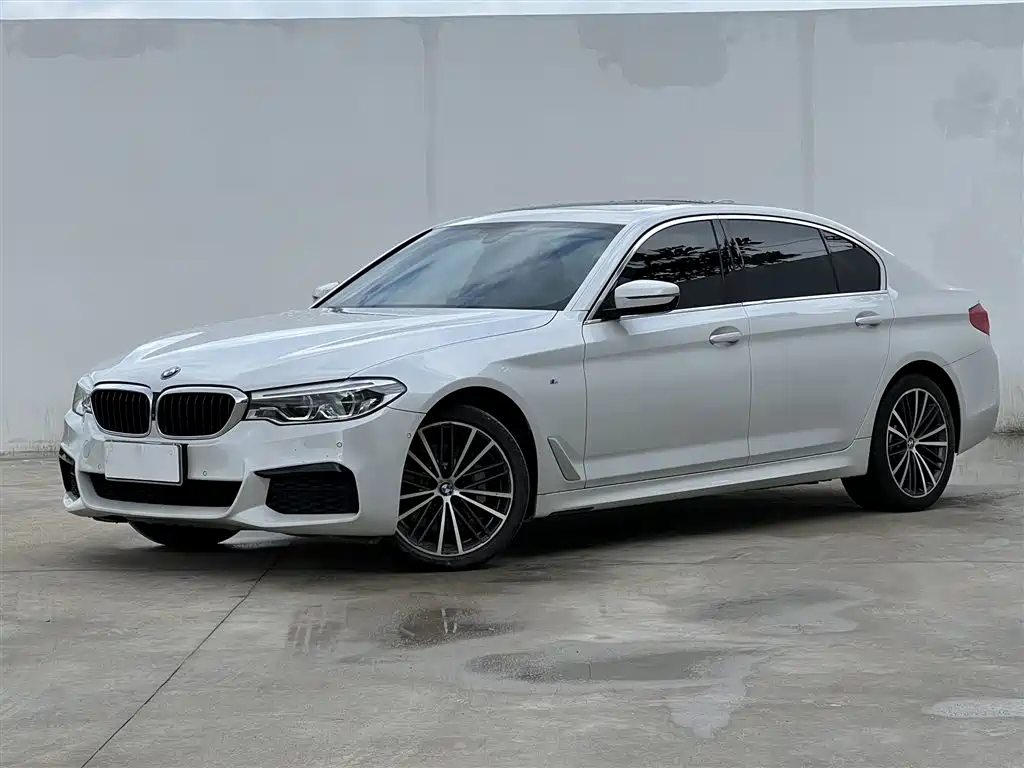 BMW 5 Series 2020 530Li Leading Luxury Package