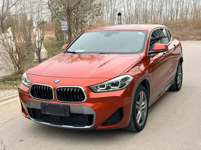 BMW X2 2020 sDrive25i Leading M Sport Package