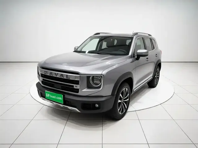 Haval Big Dog 2024 1.5T DCT Border Collie Edition