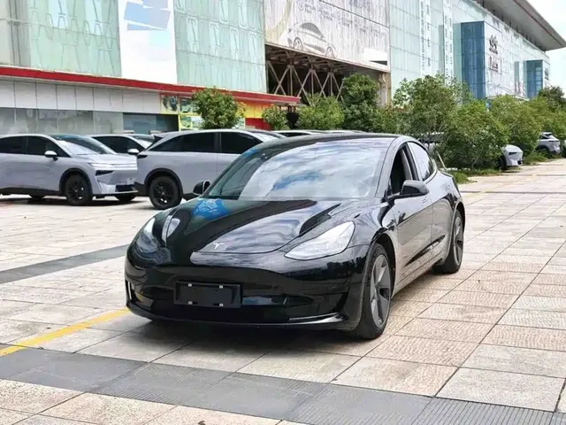 Tesla Model 3 2022 Model Rear-Wheel Drive Version