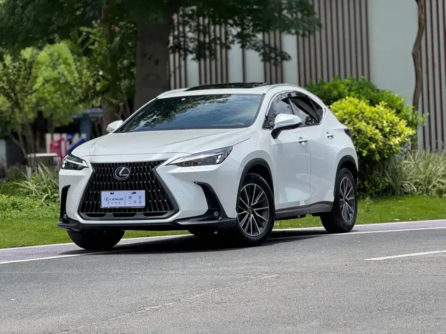Lexus NX 2023 260 FWD Joy Creation Edition