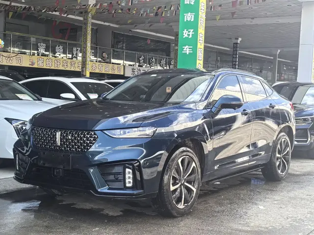 WEY Wei VV7 GT 2020 2.0T Flagship