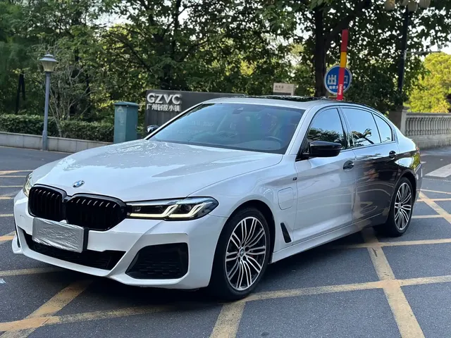 BMW 5 Series New Energy 2021 535Le Luxury Package