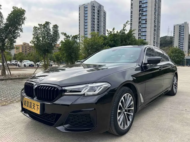 BMW 5 Series 2019 530Li Leading Luxury Package