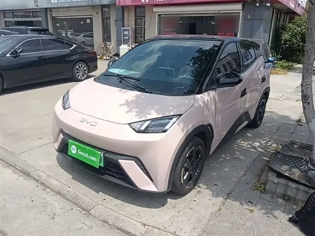 BYD Seagull 2024 Glory Edition 305km Freedom Edition