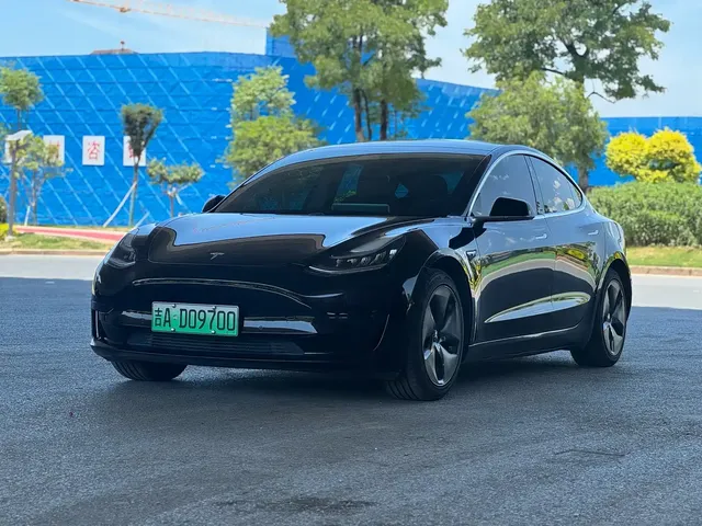 Tesla Model 3 2020 Standard Range Rear-Wheel Drive Upgrade