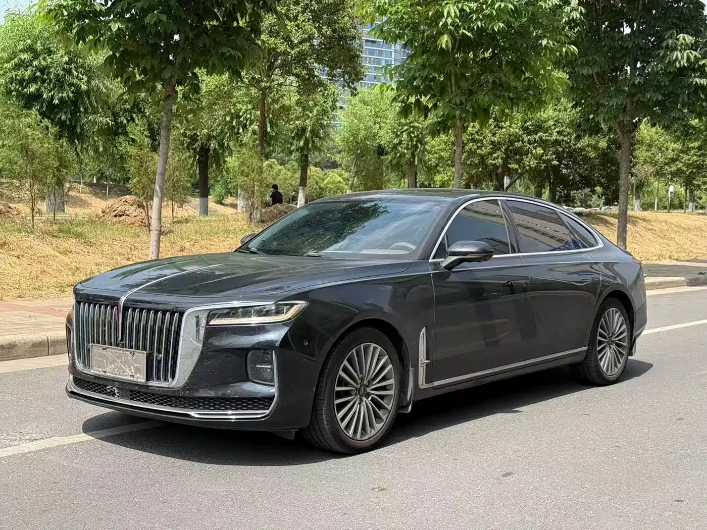 Hongqi H9 2020 2.0T Smart Connection Qi Chang Edition
