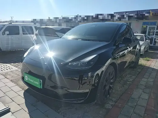 Tesla Model Y 2021 Standard Range Rear-Wheel Drive