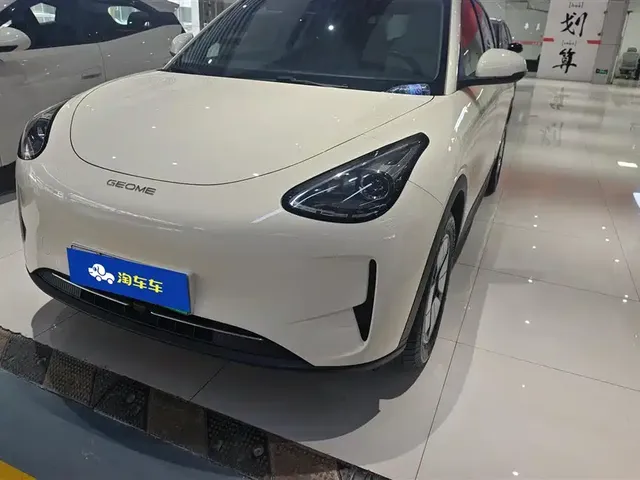 Geely Galaxy Starry Wish 2025 310km Youth Edition