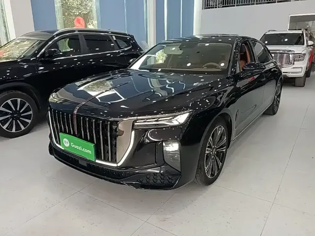 Hongqi H9 2024 2.0T Qi Enjoy Private Fashion Edition