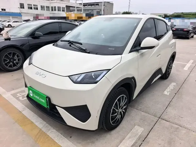 BYD Seagull 2025 305km Vitality