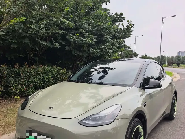Tesla Model Y 2022 Rear-Wheel Drive Version