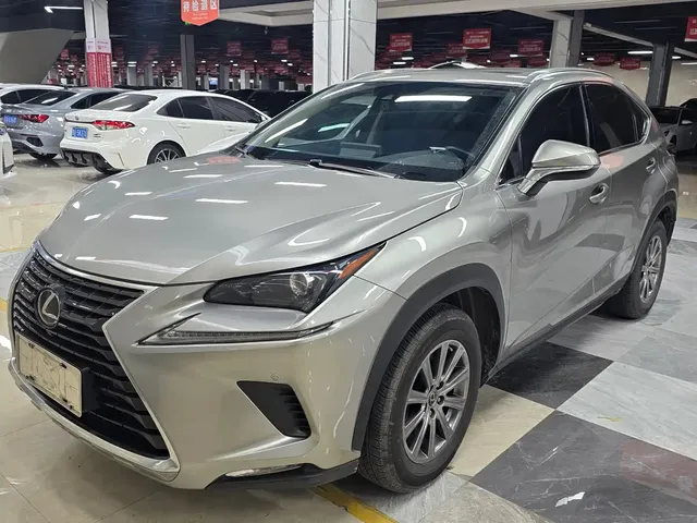 Lexus NX 2020 200 AWD F Sport China V