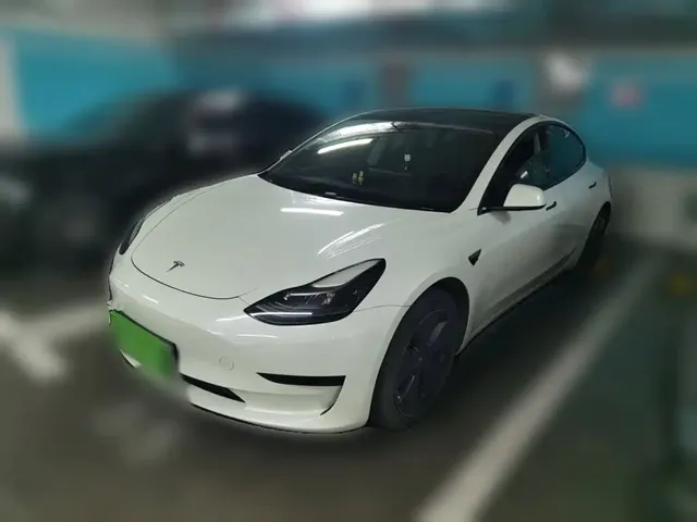 Tesla Model 3 2021 Standard Range Rear-Wheel Drive Upgrade