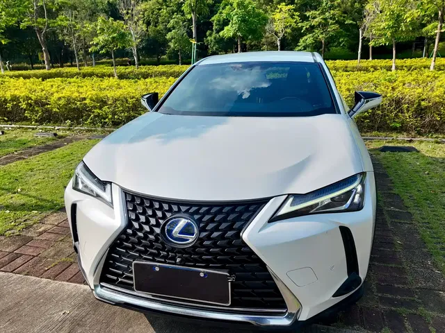 Lexus UX 2019 260h Explorer Cool Edition (China V)