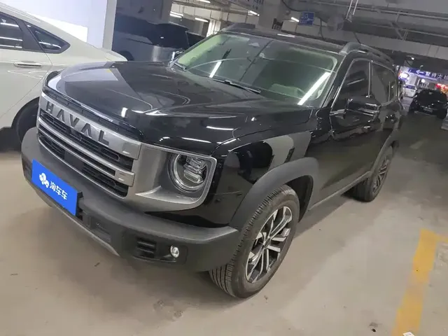 Haval Big Dog 2024 1.5T DCT Border Collie Edition