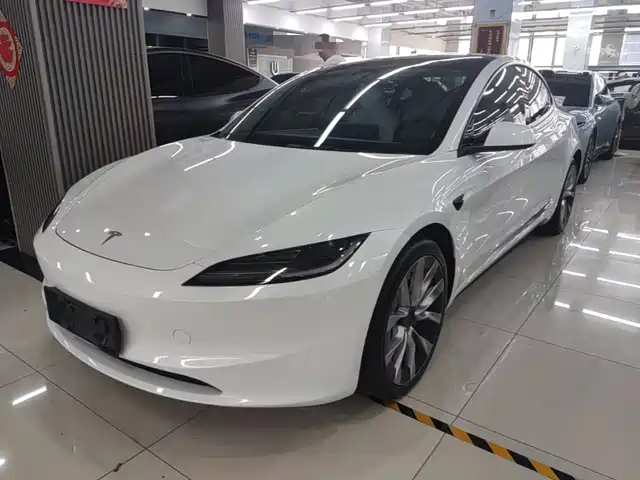 Tesla Model 3 2025 Model Rear-Wheel Drive Edition