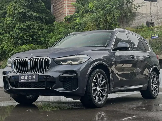 BMW X5 (Import) 2022 xDrive30i M Sport Package