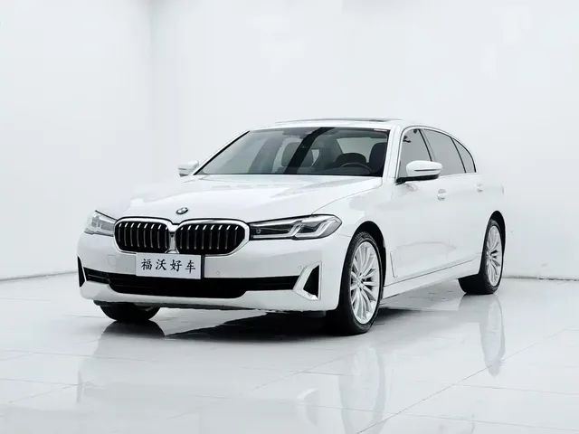 BMW 5 Series 2021 530Li Premium Luxury Package