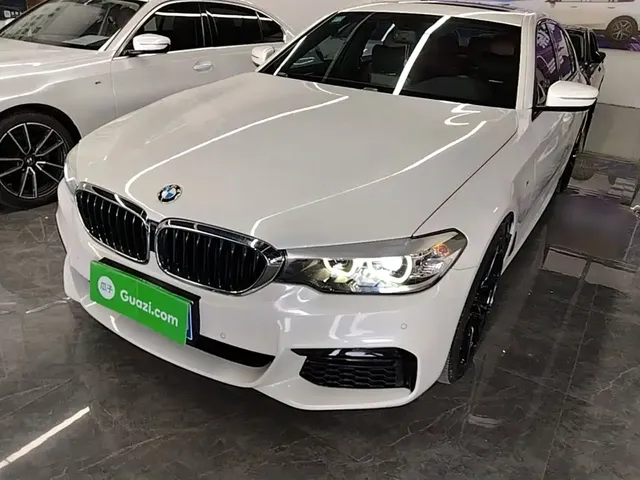 BMW 5 Series 2019 530Li Leading M Sport Package