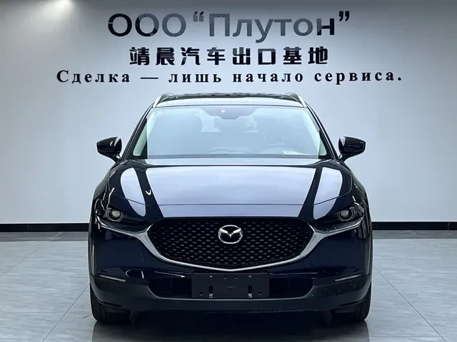 Mazda CX-30 2021 2.0L Auto Premium Joy Type