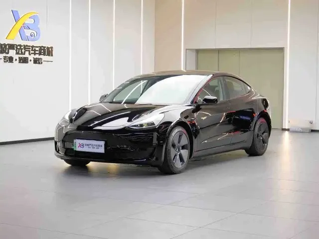 Tesla Model 3 2021 Standard Range Rear-Wheel Drive Upgrade 3D6