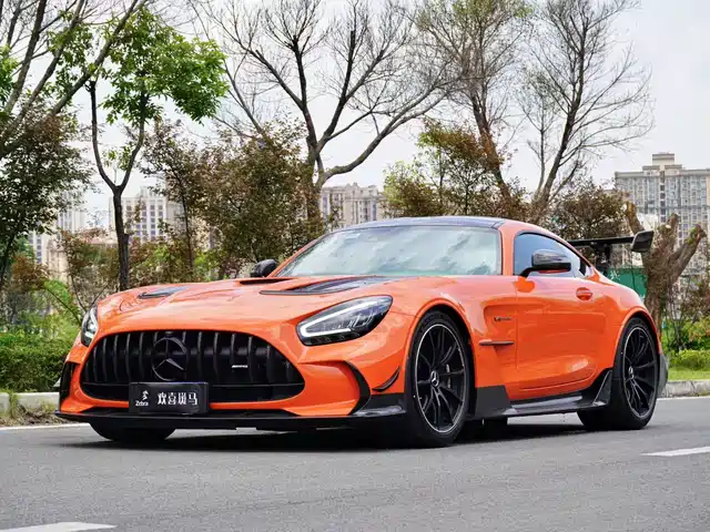Mercedes-Benz AMG GT 2021 AMG GT Black Series