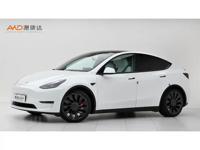 Tesla Model Y 2022 Performance High-Performance All-Wheel Drive Version