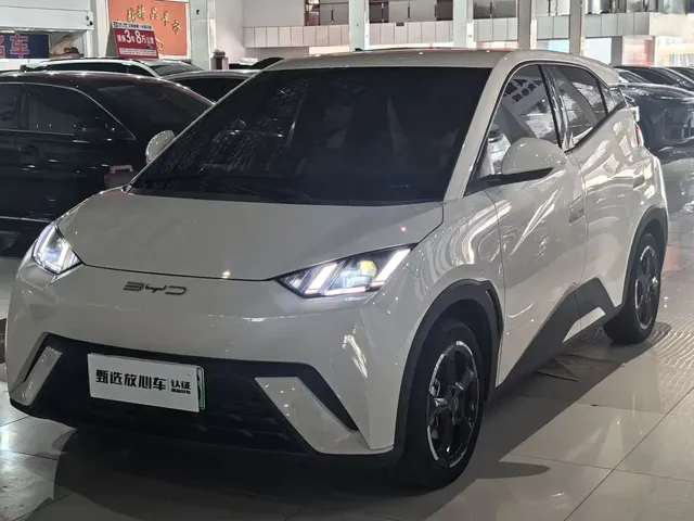 BYD Seagull 2024 Glory Edition 305km Freedom Edition