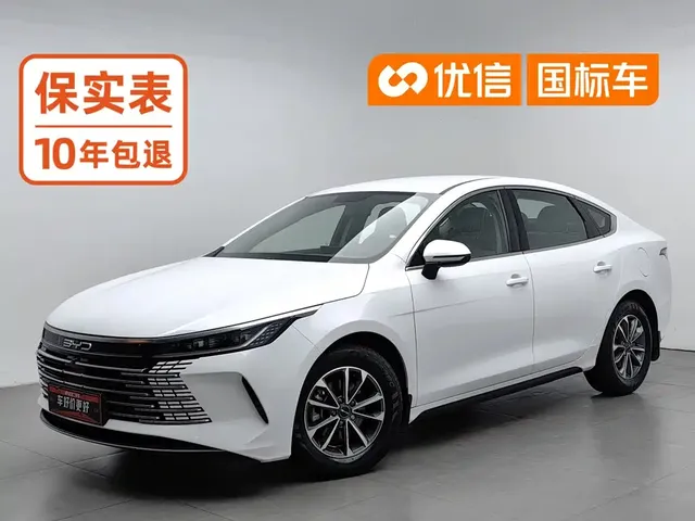 BYD Destroyer 05 2024 Glory Edition DM-i 55KM Luxury