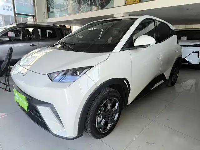BYD Seagull 2024 Glory Edition 305km Vitality Edition
