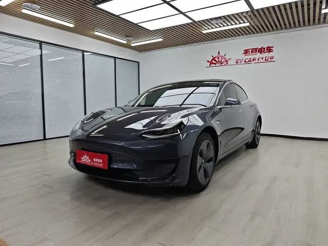 Tesla Model 3 2019 Standard Range Rear-Wheel Drive Upgrade