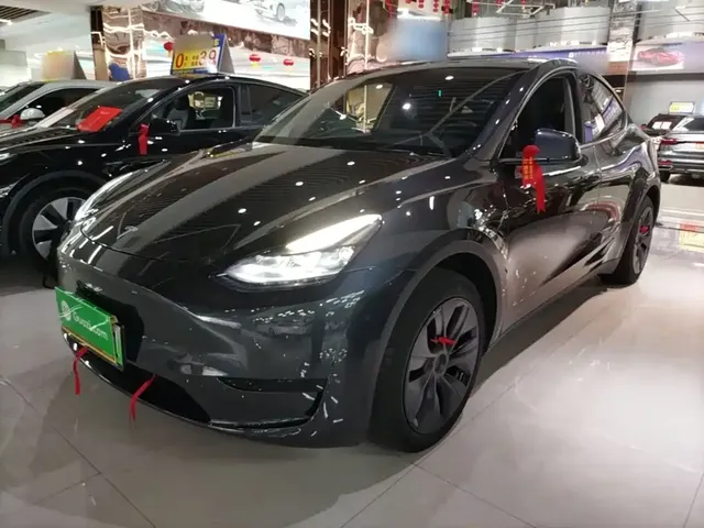 Tesla Model Y 2024 Rear-Wheel Drive Version