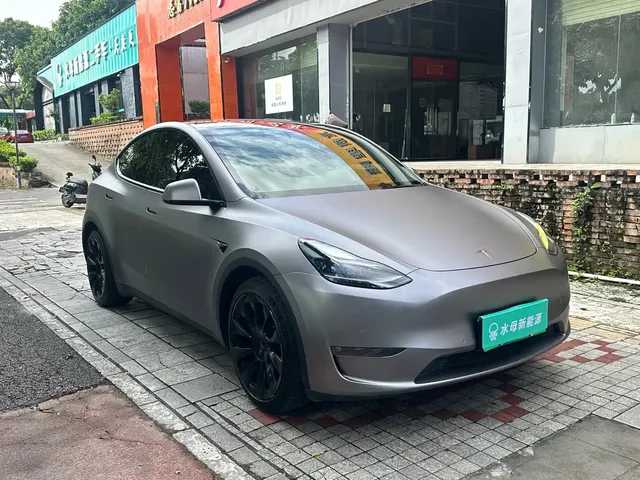 Tesla Model Y 2021 Standard Range Rear-Wheel Drive