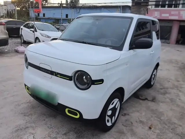 Geely Galaxy Panda 2025 Panda mini 210km Vitality Bear