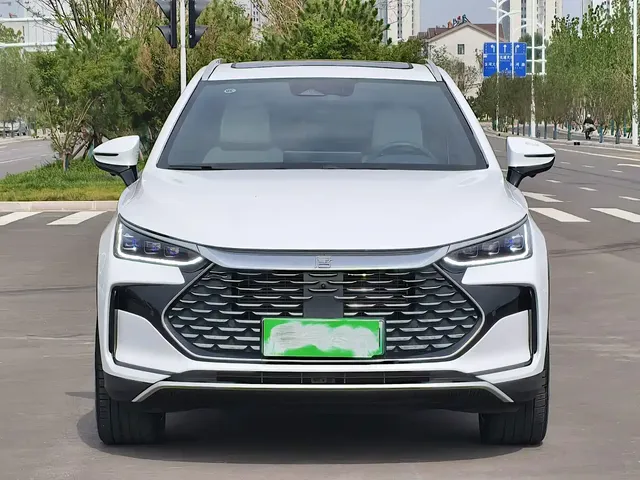 BYD Tang New Energy 2024 DM-p Champion Edition 215KM 4WD Premium