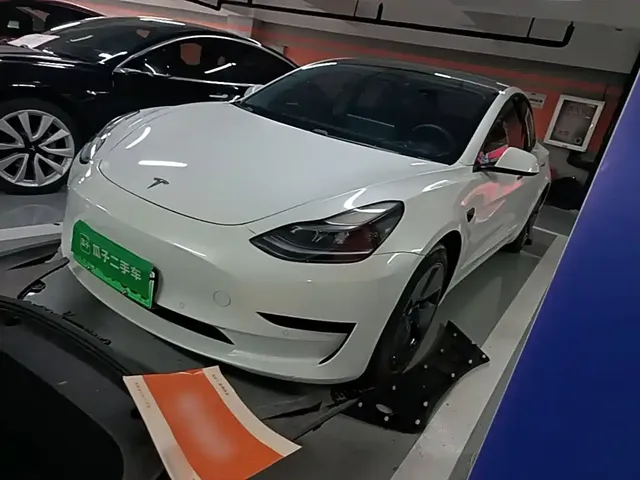 Tesla Model 3 2021 Standard Range Rear-Wheel Drive Upgrade