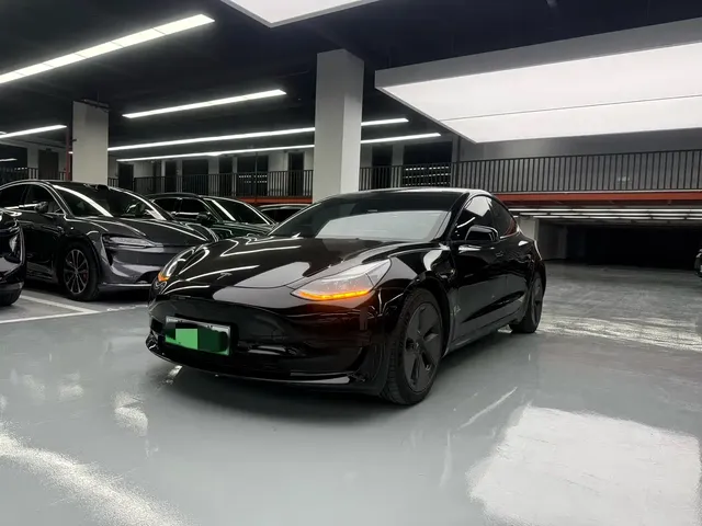 Tesla Model 3 2022 Model Rear-Wheel Drive Version