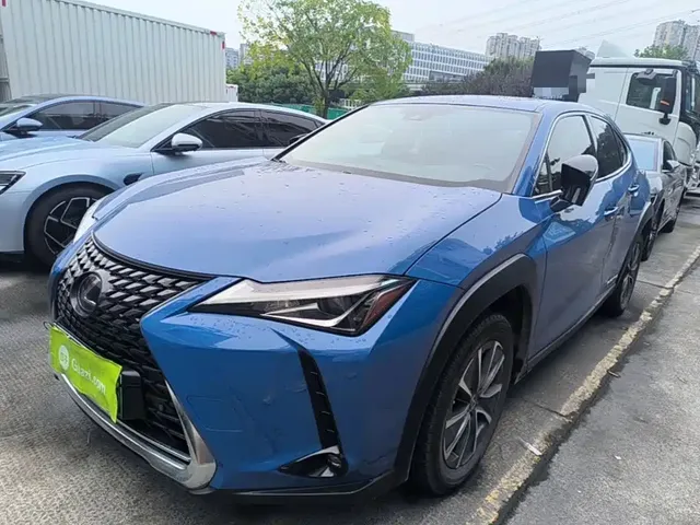 Lexus UX Electric 2020 300e Pure Yue Edition