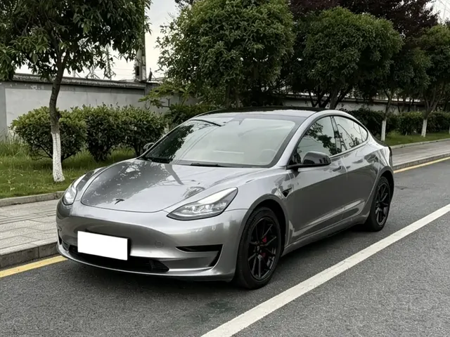 Tesla Model 3 2022 Model Rear-Wheel Drive Version