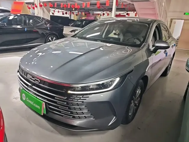 BYD Destroyer 05 2023 Champion Edition DM-i 55KM Luxury